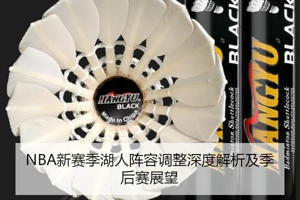 NBA新赛季湖人阵容调整深度解析及季后赛展望